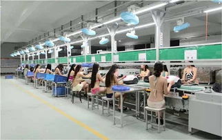 以“超級性感工廠”破局 一探商務信息咨詢的顛覆性策略